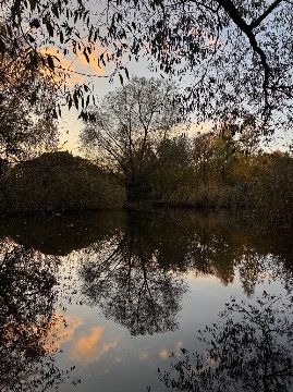 Иванова_Вероника_зеркало