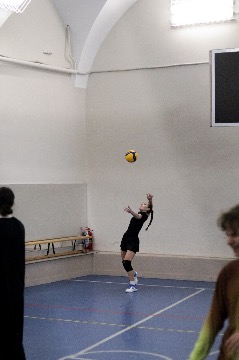 IMG_5210.jpg